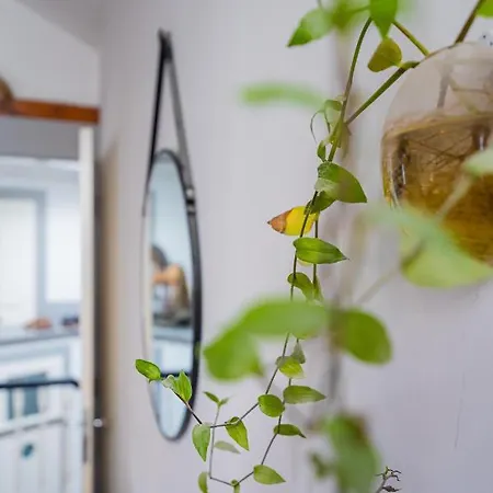 Apartamento Casa Da Hera - The Ivy House